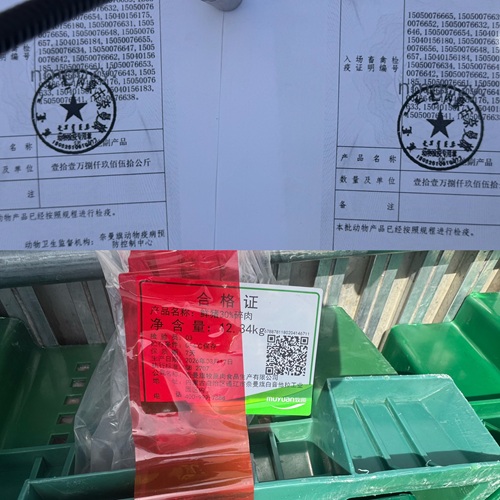 微信图片_20260318205542_336_33.jpg